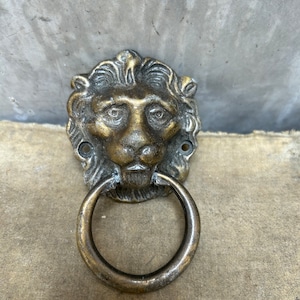 May include: A brass lion head door knocker with a ring pull. The lion's face is detailed with a mane, eyes, and a nose.
