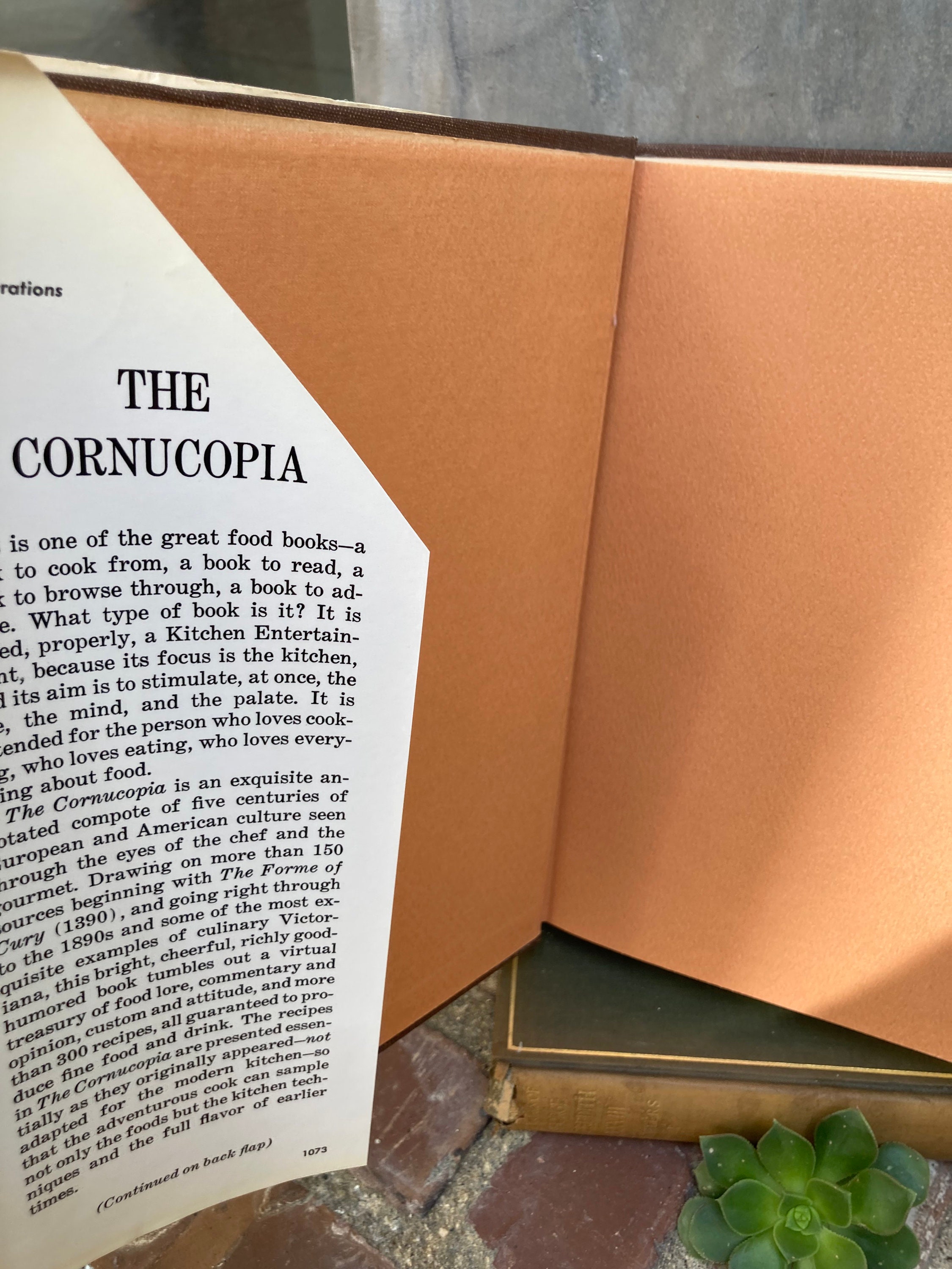 The Cornucopia Being Vintage Cookbook 1973 - Etsy