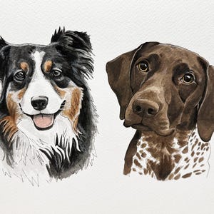 Two Pets - CUSTOM PET PORTRAITS