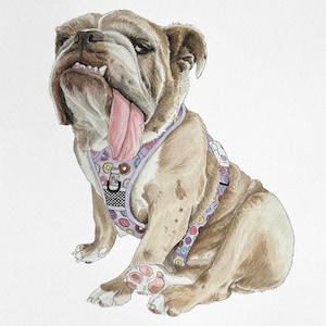 One Pet - CUSTOM PET PORTRAITS