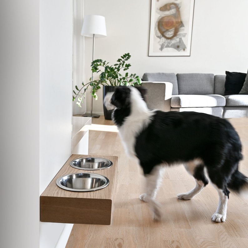 May include: A black and white border collie dog stands near a wooden wall-mounted pet food and water bowl set. The set has two stainless steel bowls.