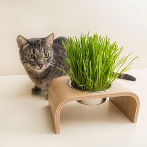 Einzelschale kleine Hunde- oder Katzenfütterungsstation, Hölzerne moderne Haustierfütterung, Katzen Wasserschüssel, Kleiner Haustierständer, Hundefütterer mit Schale