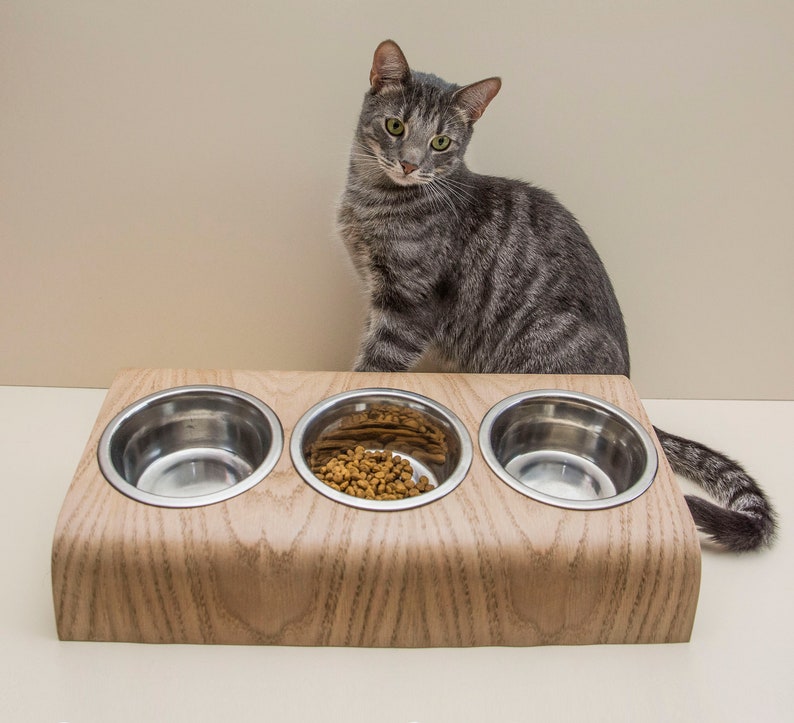 Pet Feeding Station With 3 Bowls Triple Small Dog Feeding Etsy