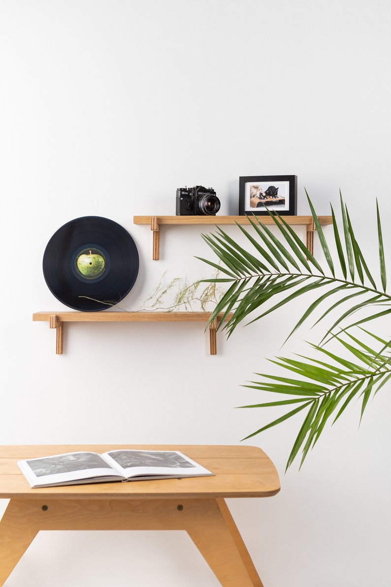 May include: Two wooden shelves with a black vinyl record, a vintage camera, and a framed photo on the top shelf. A green plant is in the background.
