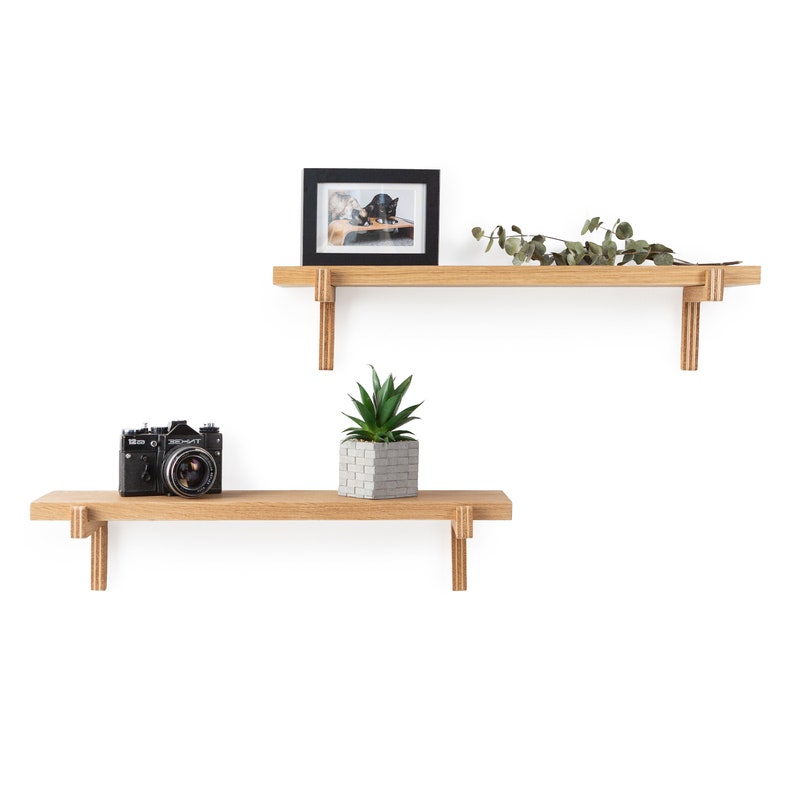 May include: Two wooden shelves with triangular brackets, one shelf has a potted succulent plant and a vintage camera, the other shelf has a framed photo and a sprig of dried greenery.