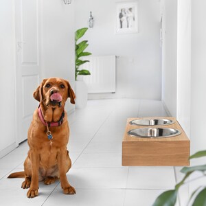 May include: A brown dog with a pink collar sits on a white tiled floor, looking up at a wooden wall-mounted double dog bowl with stainless steel bowls.