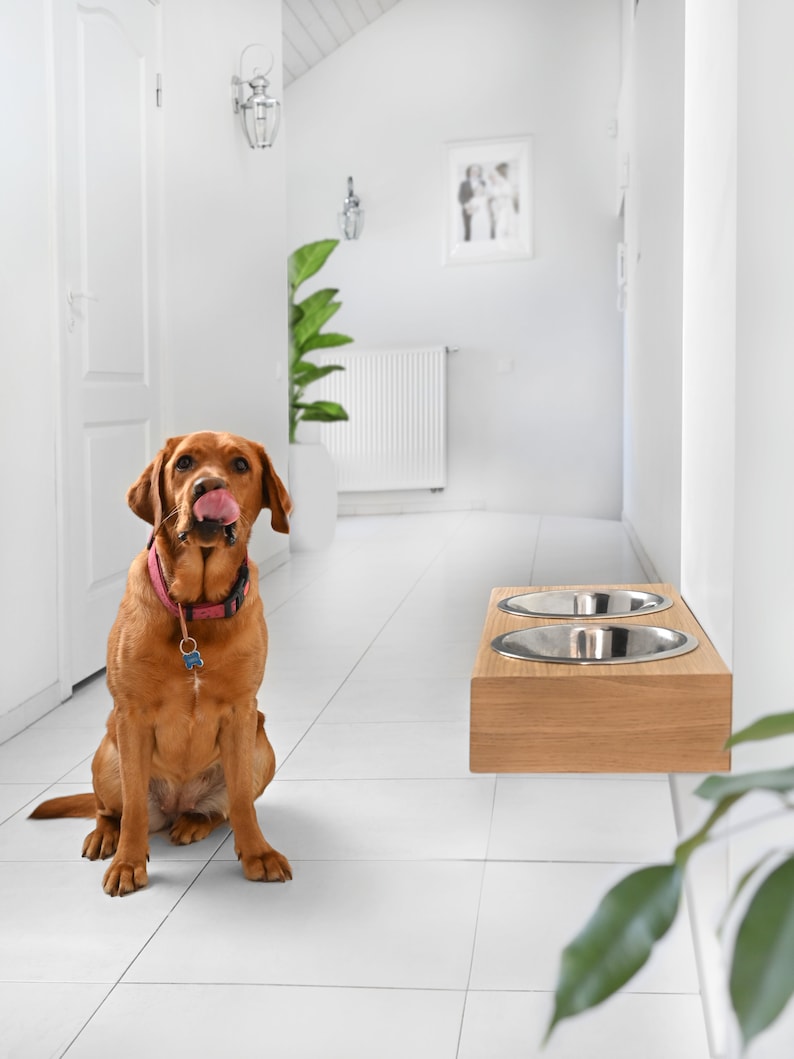 May include: A brown dog with a pink collar sits on a white tiled floor, looking up at a wooden wall-mounted double dog bowl with stainless steel bowls.