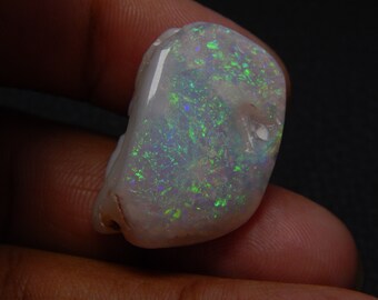 Australian Opal Rare Fossil Shell Fancy Shape Gemstone Shell 33.5 Carat Size 19x28 MM