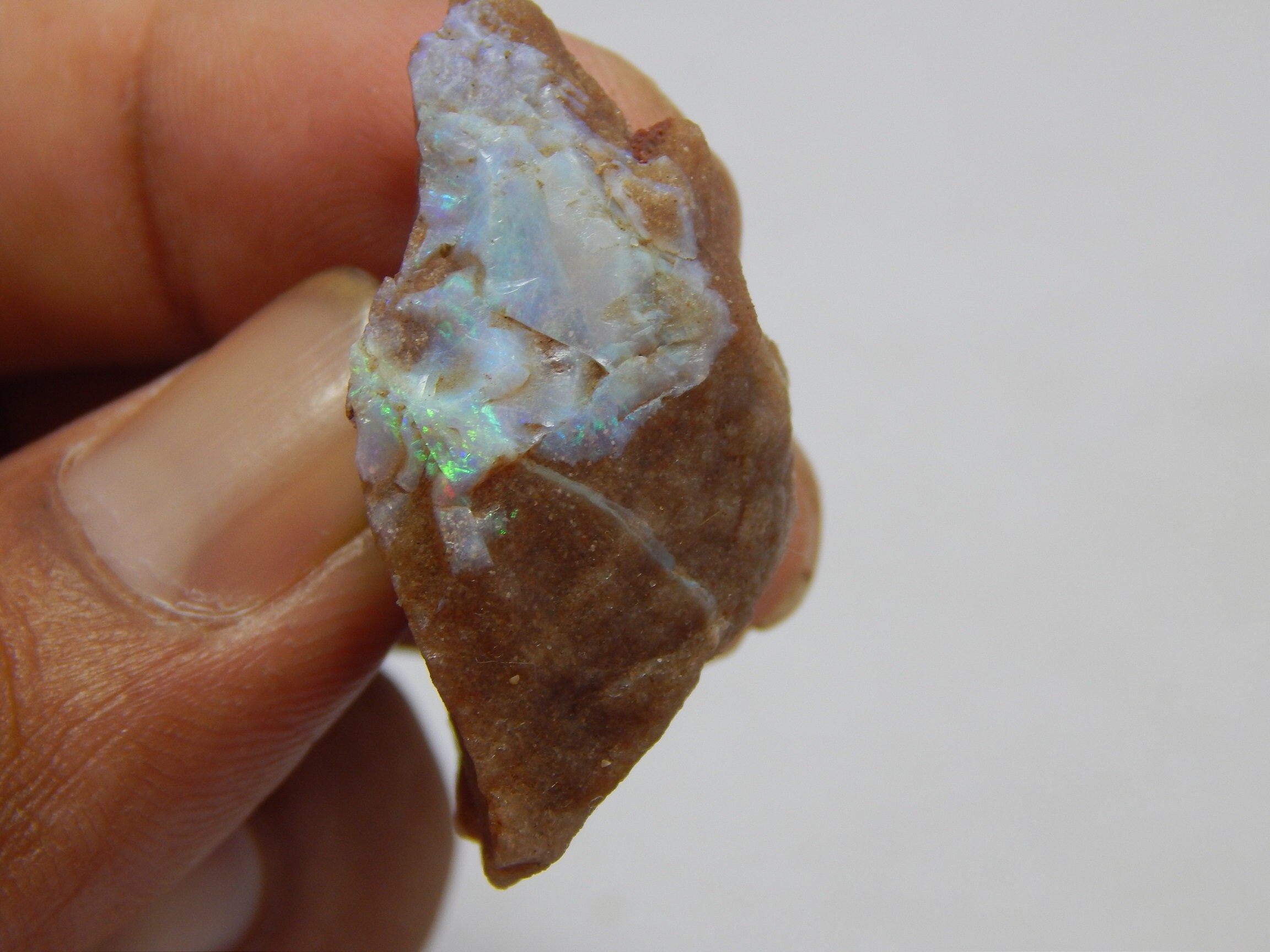 51 Carat Andamooka Painted Lady Opal Specimen Australian Opal Etsy