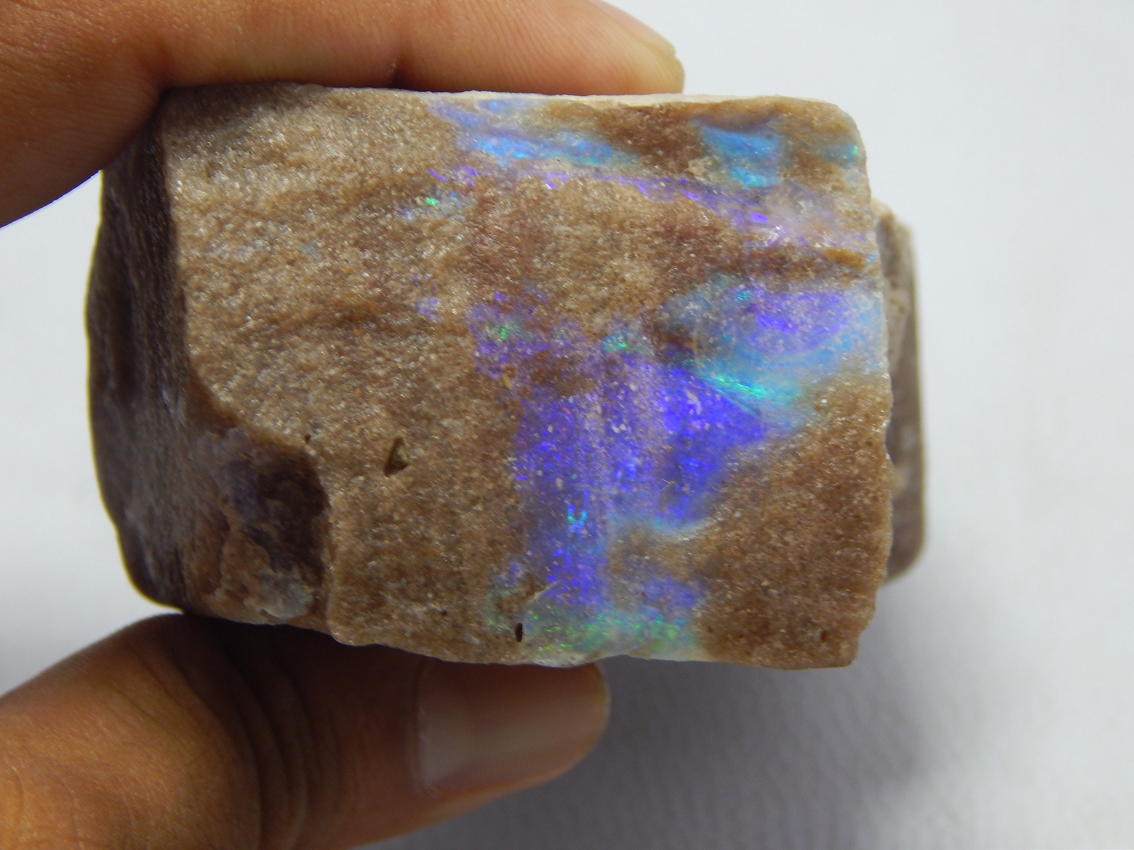 2782 Carat Andamooka Painted Lady Opal Specimen Australian Etsy