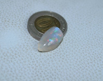 Natural Australian Opal 5 Carat Fossil Shell Fancy Shape Gemstone Shell Size 18x10x5 MM