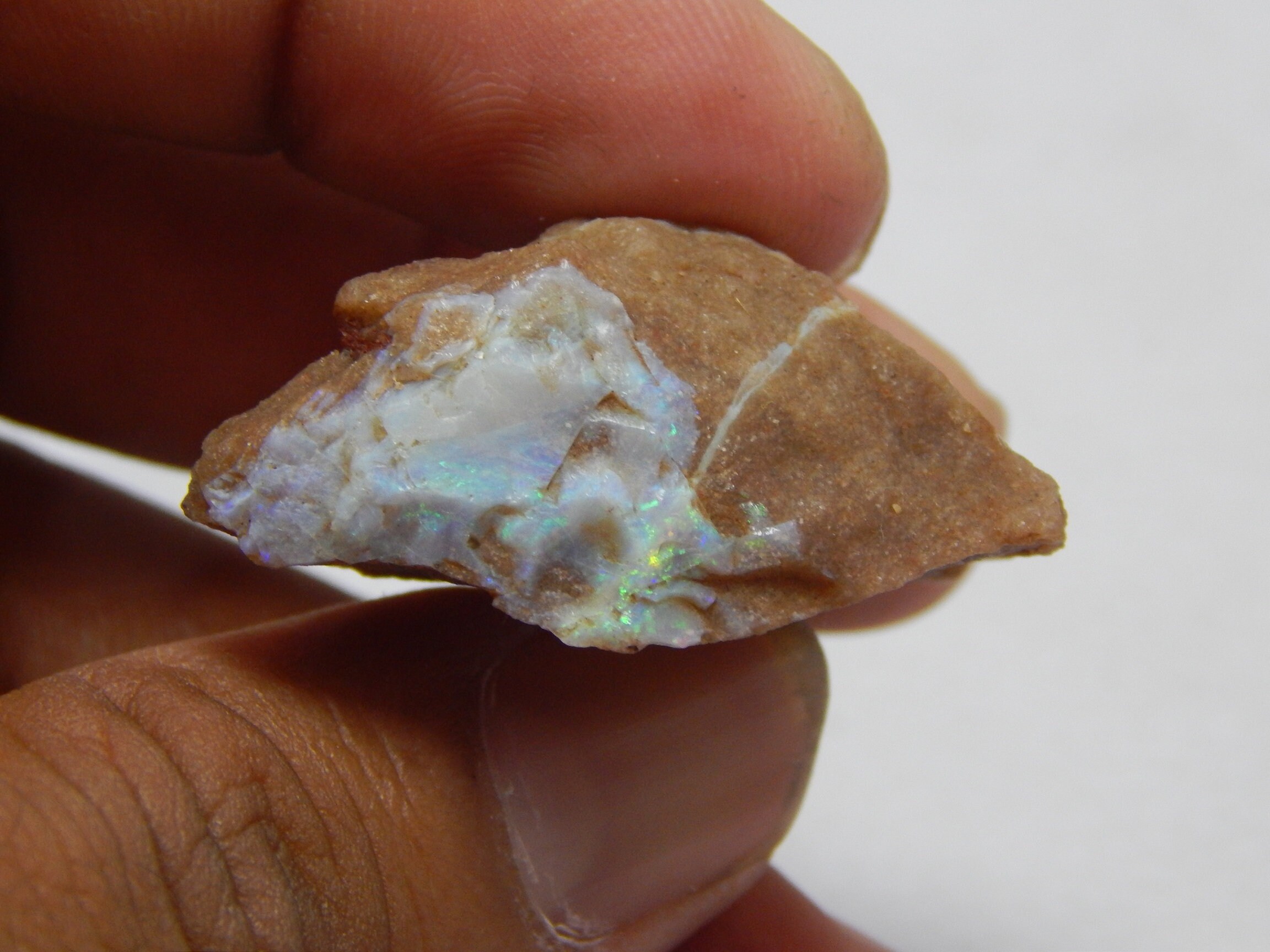 51 Carat Andamooka Painted Lady Opal Specimen Australian Opal Etsy