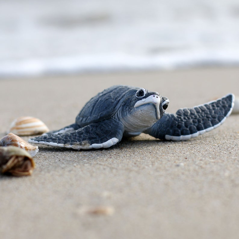 Cute Turtle Coffee Mug Sea Turtle Gifts Choose Kindness Etsy