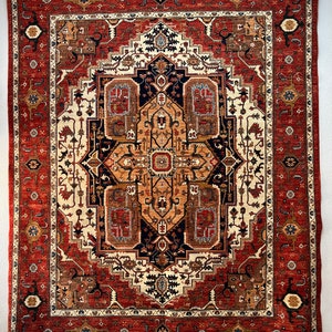 Oriental Stunning Hand knotted wool area rug.