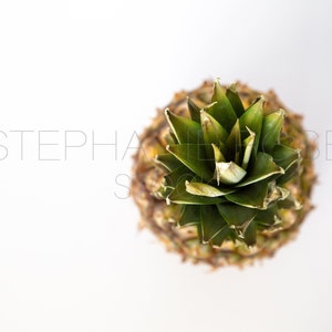 May include: Top view of a whole pineapple with green leaves and a brown, spiky exterior.