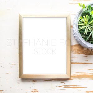 Puede incluir: Un marco de imagen de color dorado con un paspartú blanco sobre un fondo de madera blanqueada. Una pequeña planta suculenta en maceta se encuentra en la esquina superior derecha de la imagen.