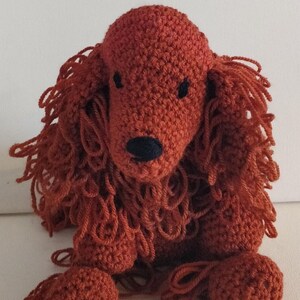 Red Setter