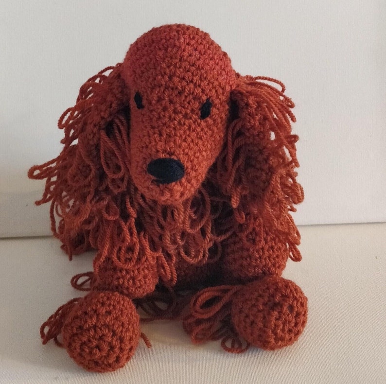 Red Setter