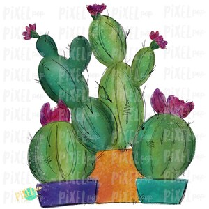 Cactus Trio Watercolor Sublimation PNG | Cactus Design | Printable | Digital Download | Cactus Design | Cactus Clipart | Cactus Watercolor