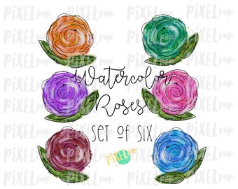 Watercolor Roses Set of Six PNG Sublimation Design | Sublimation Design | Heat Transfer PNG | Digital Download | Printable Art | Digital Art
