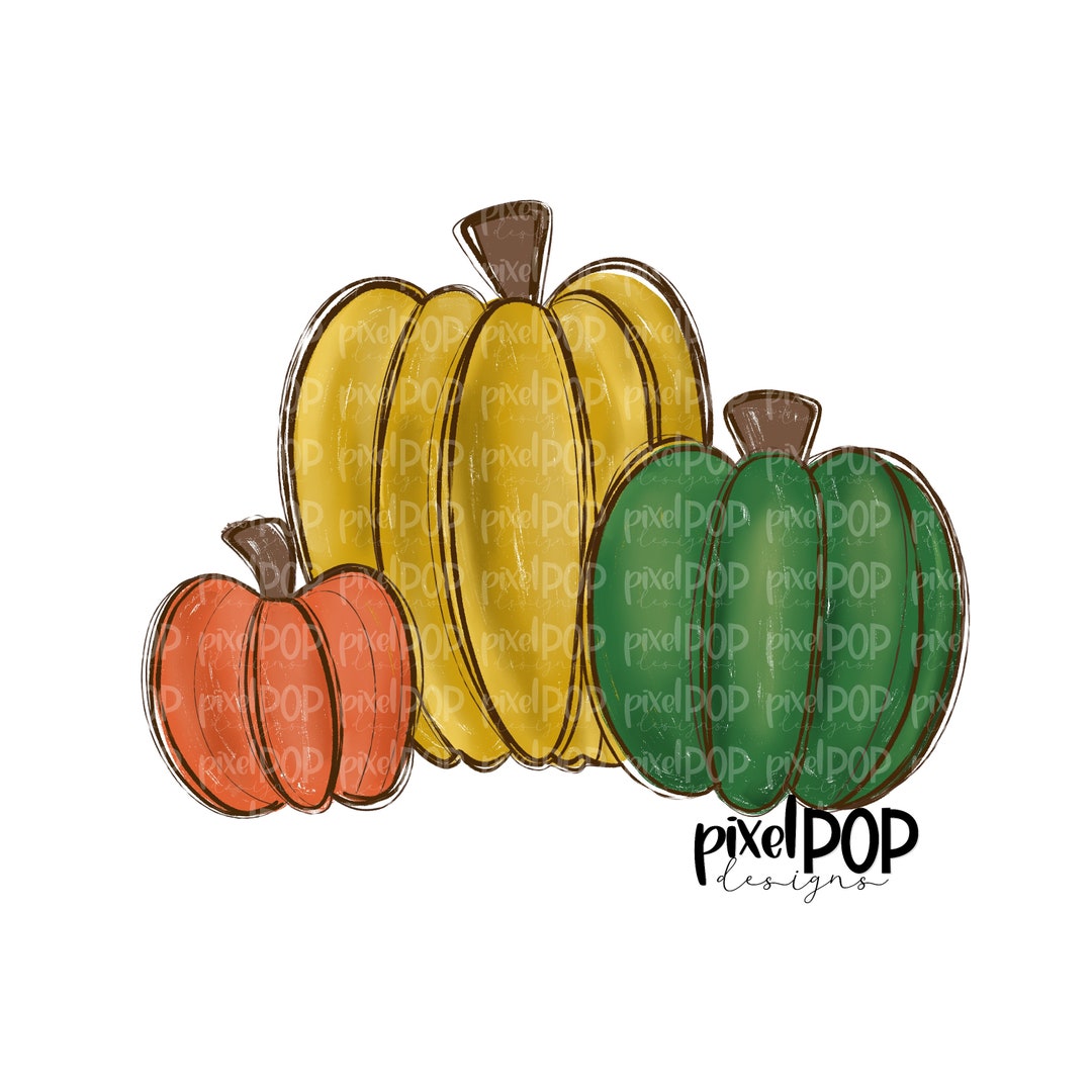 Fall Harvest Pumpkins Plain PNG | Pumpkin Art | Pumpkin PNG Design ...