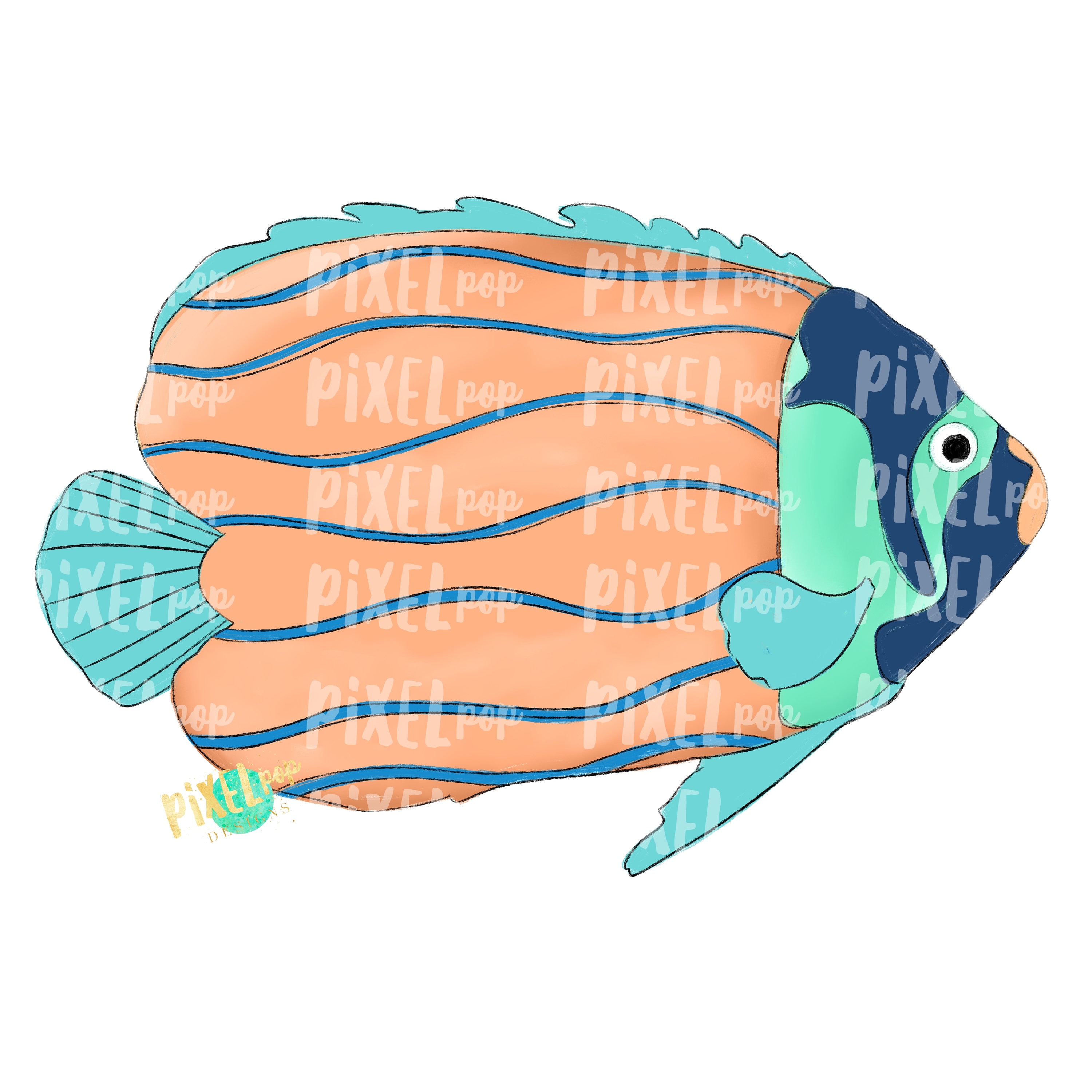 purchase exotic fish
