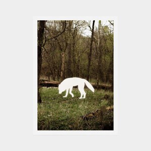Hound by the Fallen Tree | 5x7in Illustration Print | Wolf Art | Dark Folk Art Print | Spooky Art Print | Conceptual Vintage | Witchy Ghost