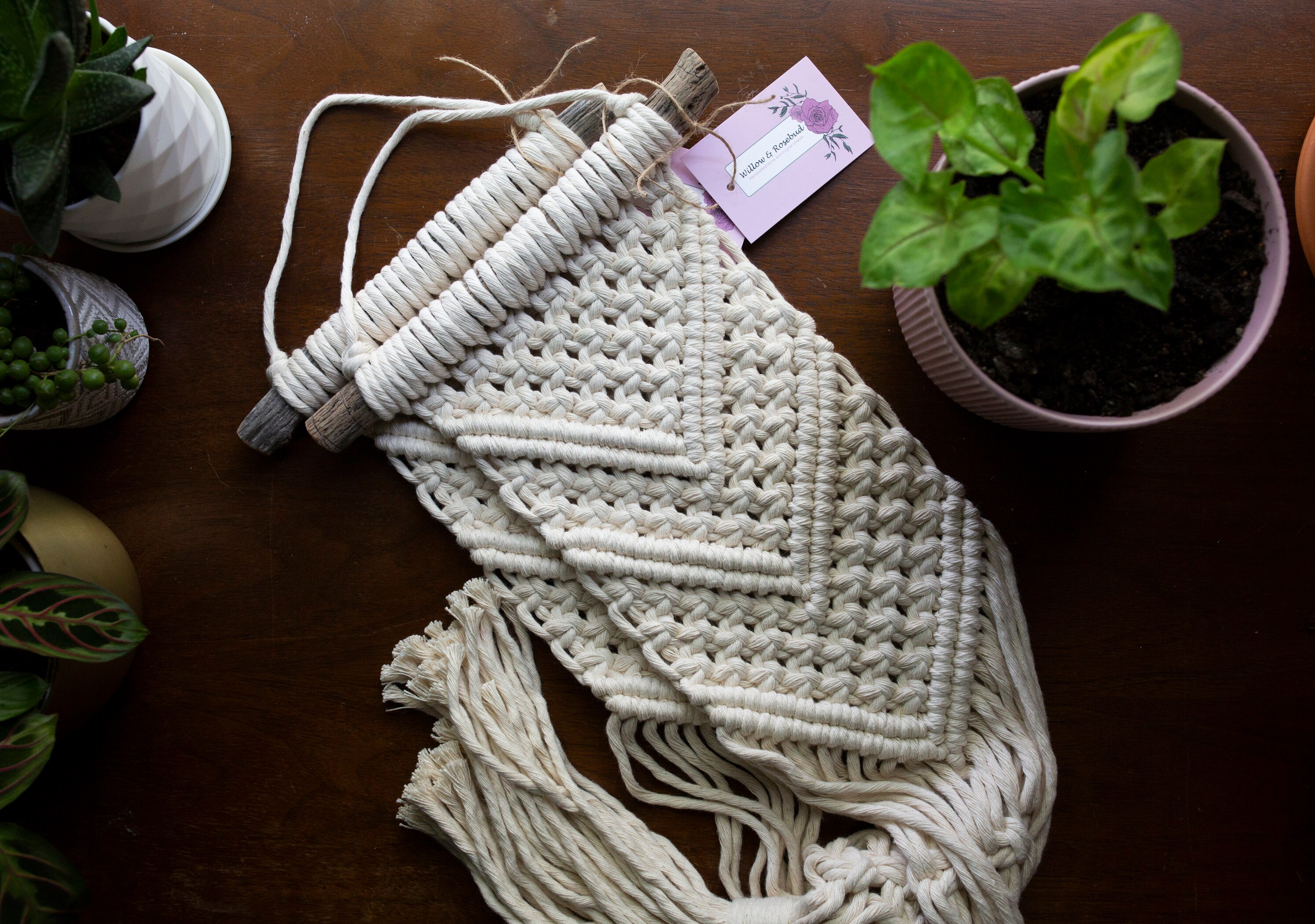Beginner Macrame Plant Hanger Kits - Baaad Anna's Yarn Store