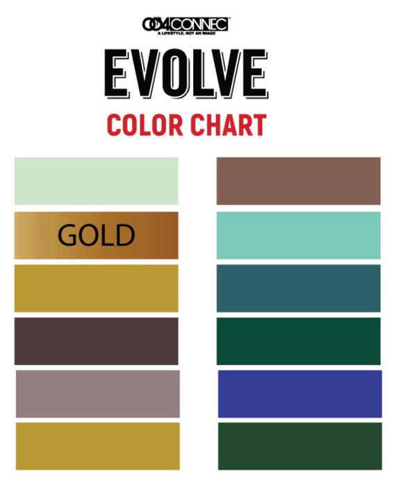 Evolve Paint Color Chart