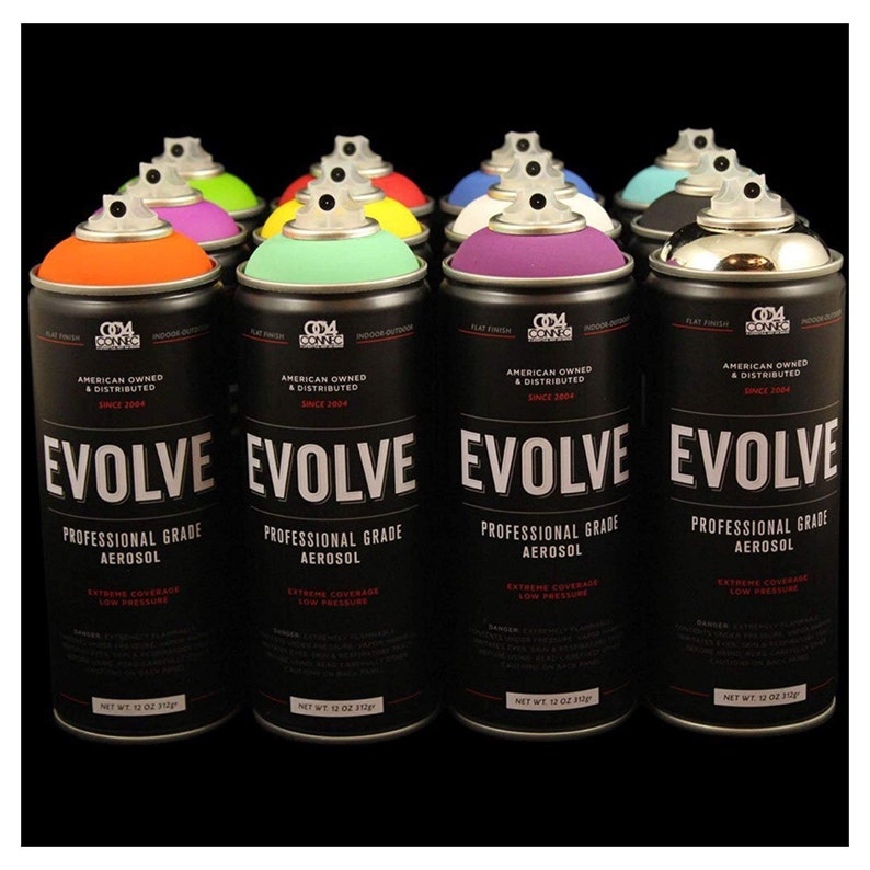 Evolve Spray Paint 12 pack Etsy