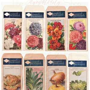 Vintage French SEED PACKET Images; Descarga digital INSTANTÁNEA