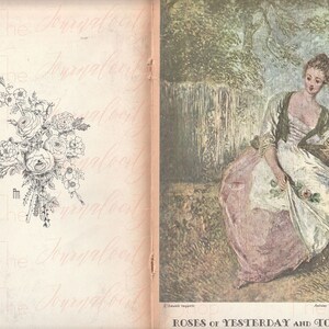 Vintage Rose Catalog Images; Descarga digital INSTANTÁNEA