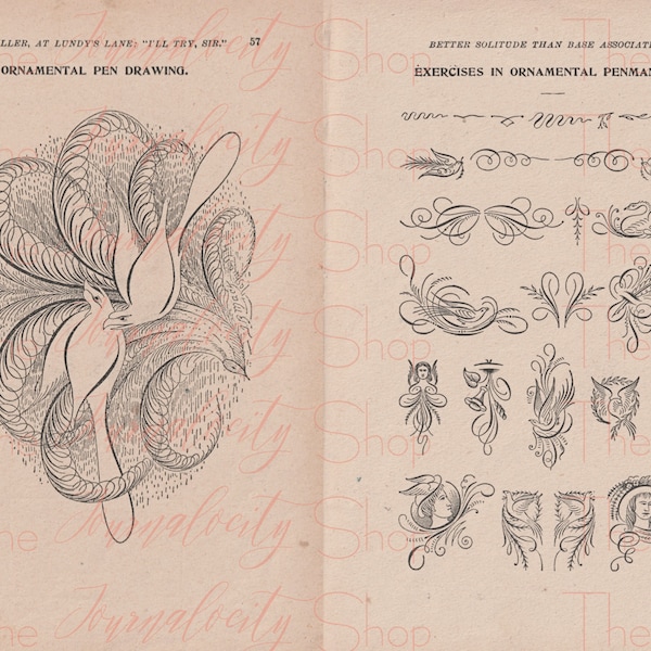 ORNAMENTAL DRAWINGS and PENMANSHIP, Instant Digital Download; script; writing; alphabet