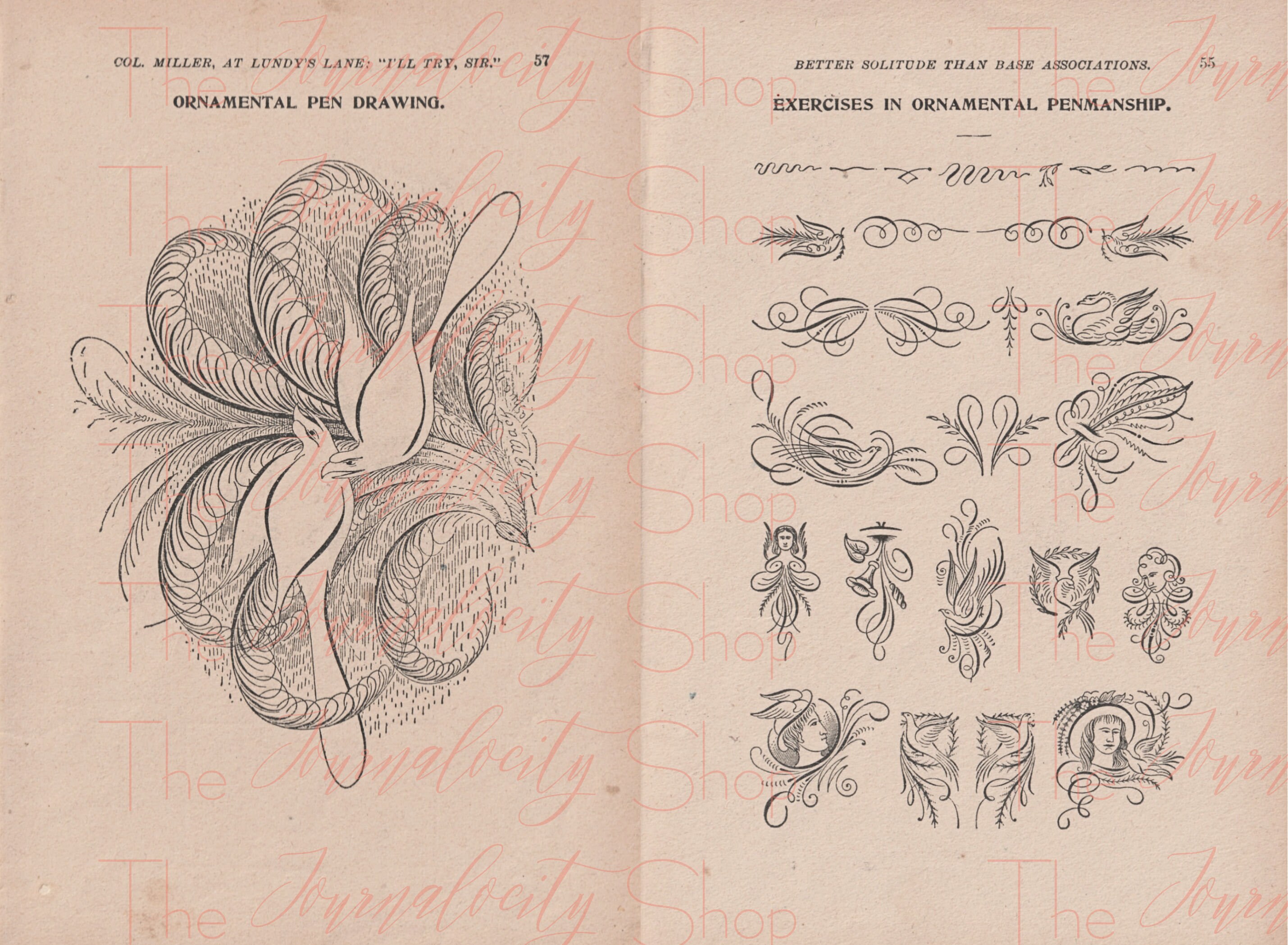ORNAMENTAL DRAWINGS and PENMANSHIP, Instant Digital Download