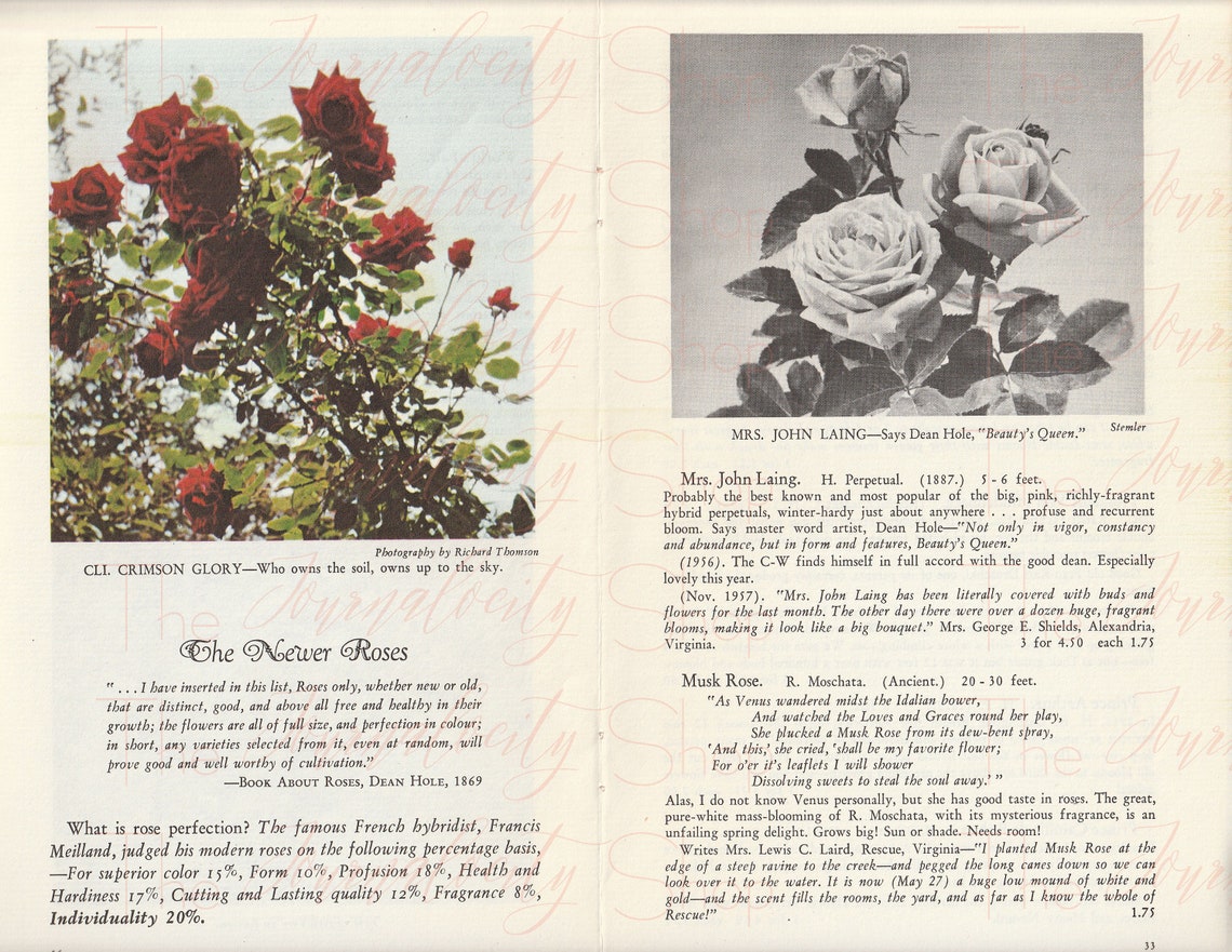 Vintage Rose Catalog Images INSTANT Digital Download Etsy