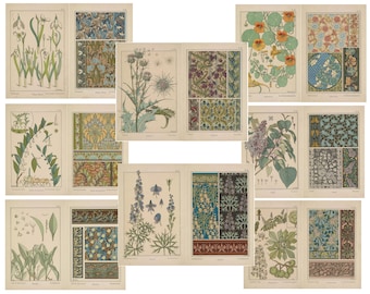 Könnte beinhalten: Eine Sammlung von 12 botanischen Illustrationen aus der Zeit um 1900, die verschiedene Blumen und Pflanzen zeigen, darunter Schneeglöckchen, Maiglöckchen und Disteln. Jede Illustration ist mit einem dekorativen Rahmen und einem Titel in deutscher Sprache versehen.