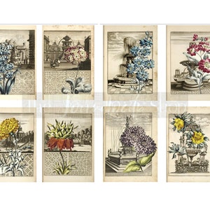 Sepia Floral Journaling Cards: Printable Junk Journal Embellishments (Digital Download)