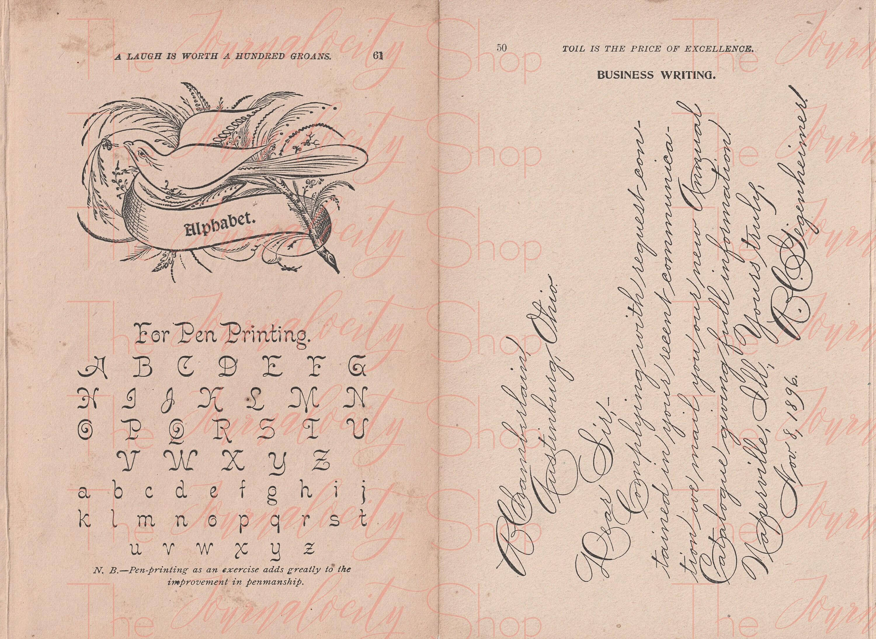 ORNAMENTAL DRAWINGS and PENMANSHIP, Instant Digital Download