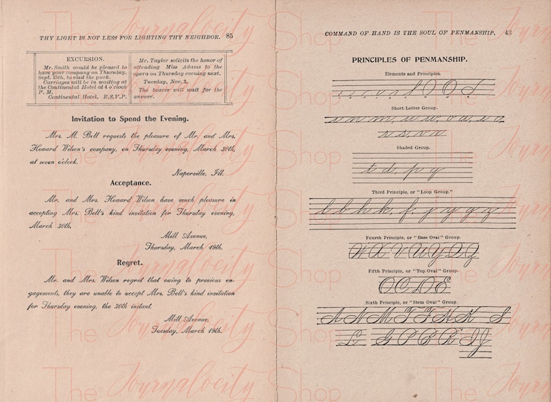 ORNAMENTAL DRAWINGS and PENMANSHIP, Instant Digital Download; Script ...