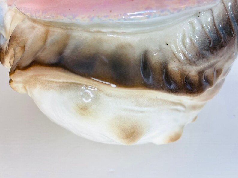 Huge Unique Iridescent Seashell Conch Planter Vintage Shell Etsy