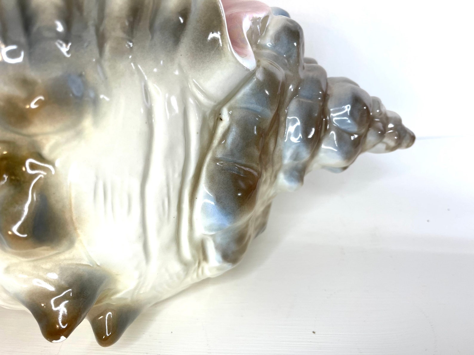 Huge Unique Iridescent Seashell Conch Planter Vintage Shell Etsy