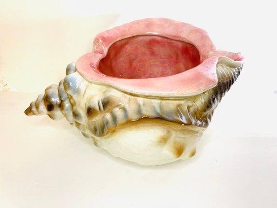 Buy Huge Unique Iridescent Seashell Conch Planter, Vintage Shell