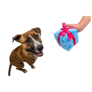 Present Dog Toy with Ball image 1