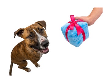 Present Dog Toy with Ball