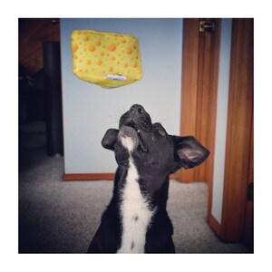 Swiss Alpine Cheese Squeaky Dog Toy image 1