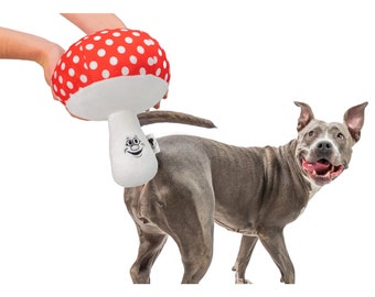 Mike the Mushroom - Dog Toy