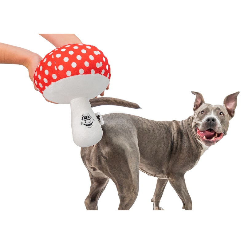 Mike the Mushroom Dog Toy image 1