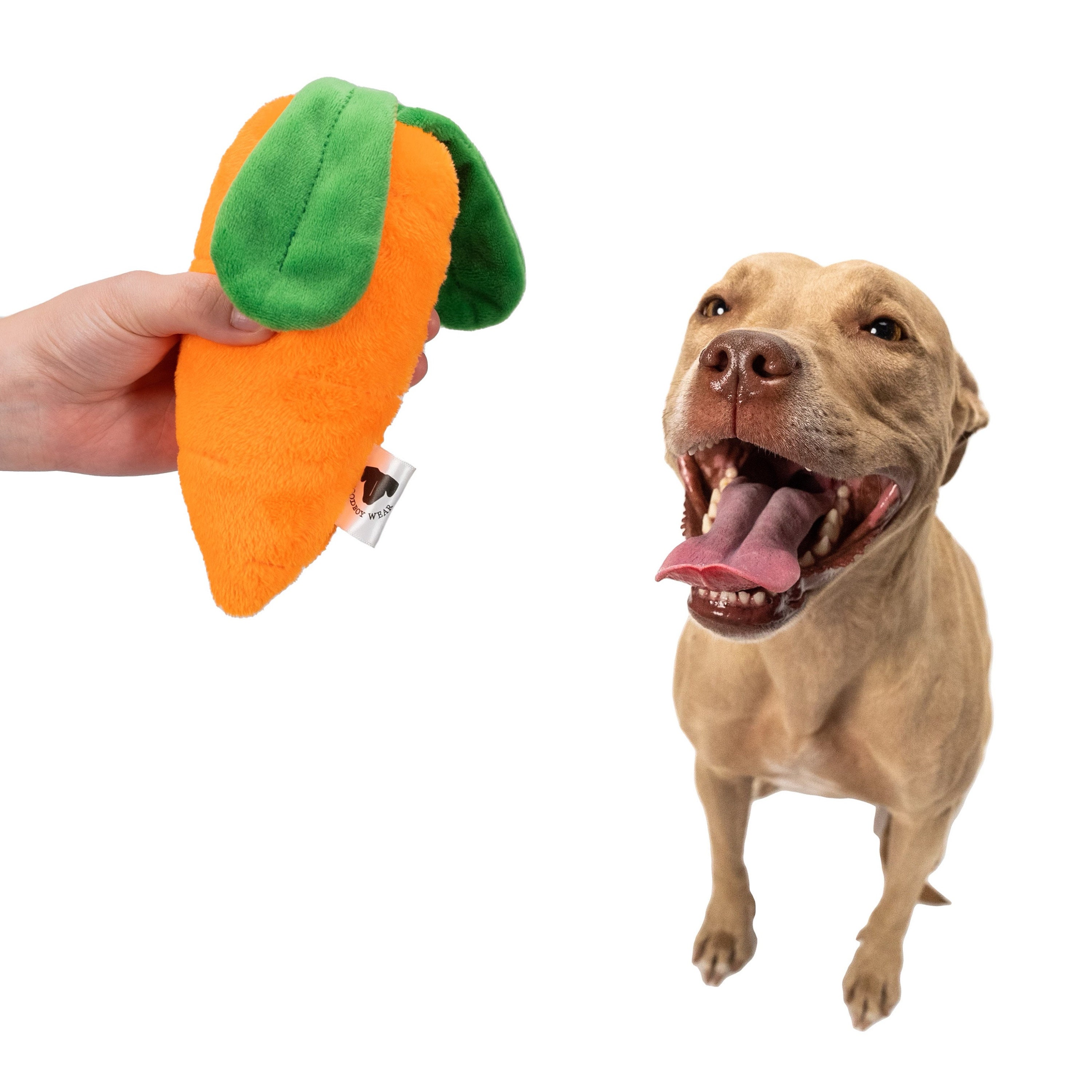 5pcs Squeaky Dog Toys Fruits and Vegetables Plush Puppy Dog Toys (Carrot &  Banana & Eggplant & Strawberry & Mushroom) Random Color 