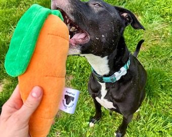 PurePlay Carrot Dog Toy