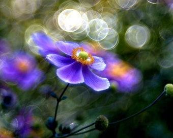 Objetivo Helios 44-2 vintage con efecto burbuja Trioplan - Montura M42 / Mantenimiento profesional